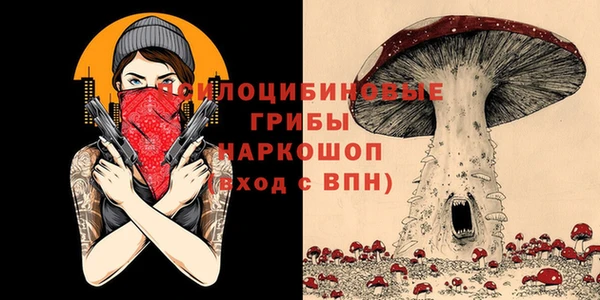 бошки Абинск