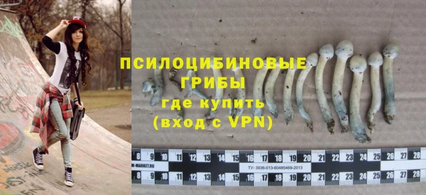 ALPHA PVP Весьегонск