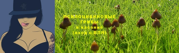бошки Абинск
